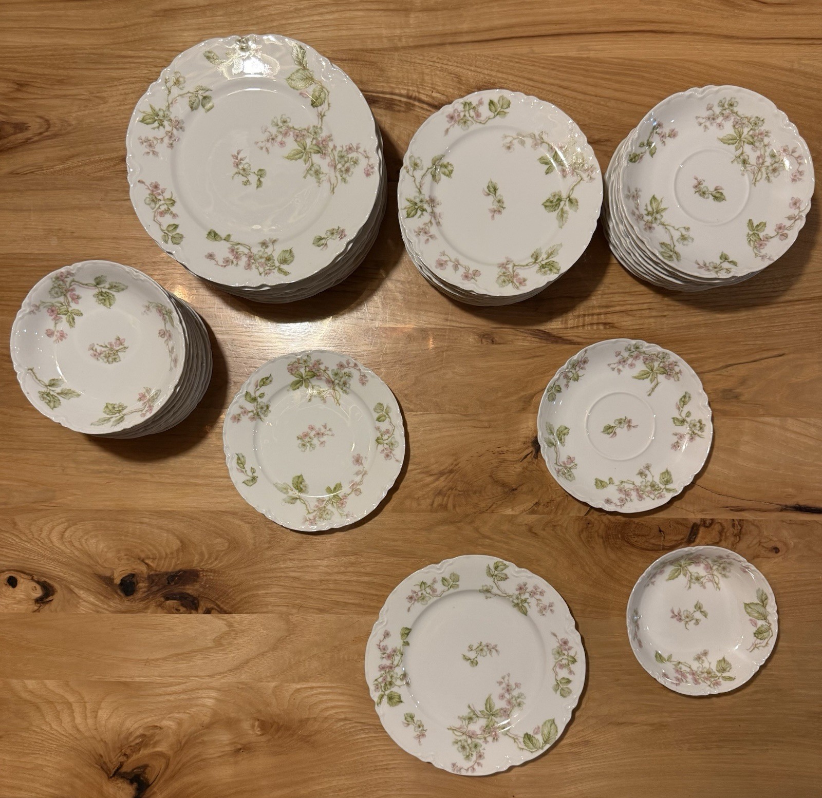 Antique Haviland Limoges France China Set | Believed to Be Schleiger 62 | 47 Pcs
