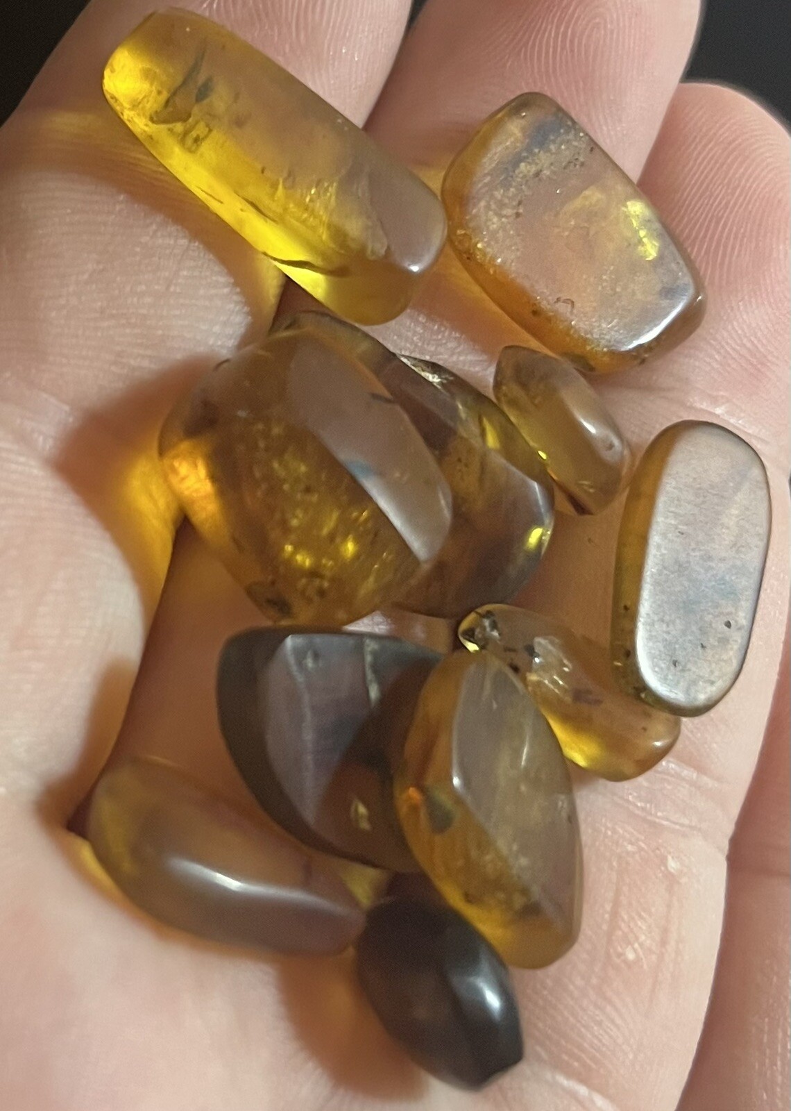 VERY INTERESTING Over 1 MILLION YEAR OLD Amber Fossil Dinosaur Age Insects 1ea. VERY INTERESTING Over 1 MILLION YEAR OLD Amber Fossil Dinosaur Age Insects 1ea.
