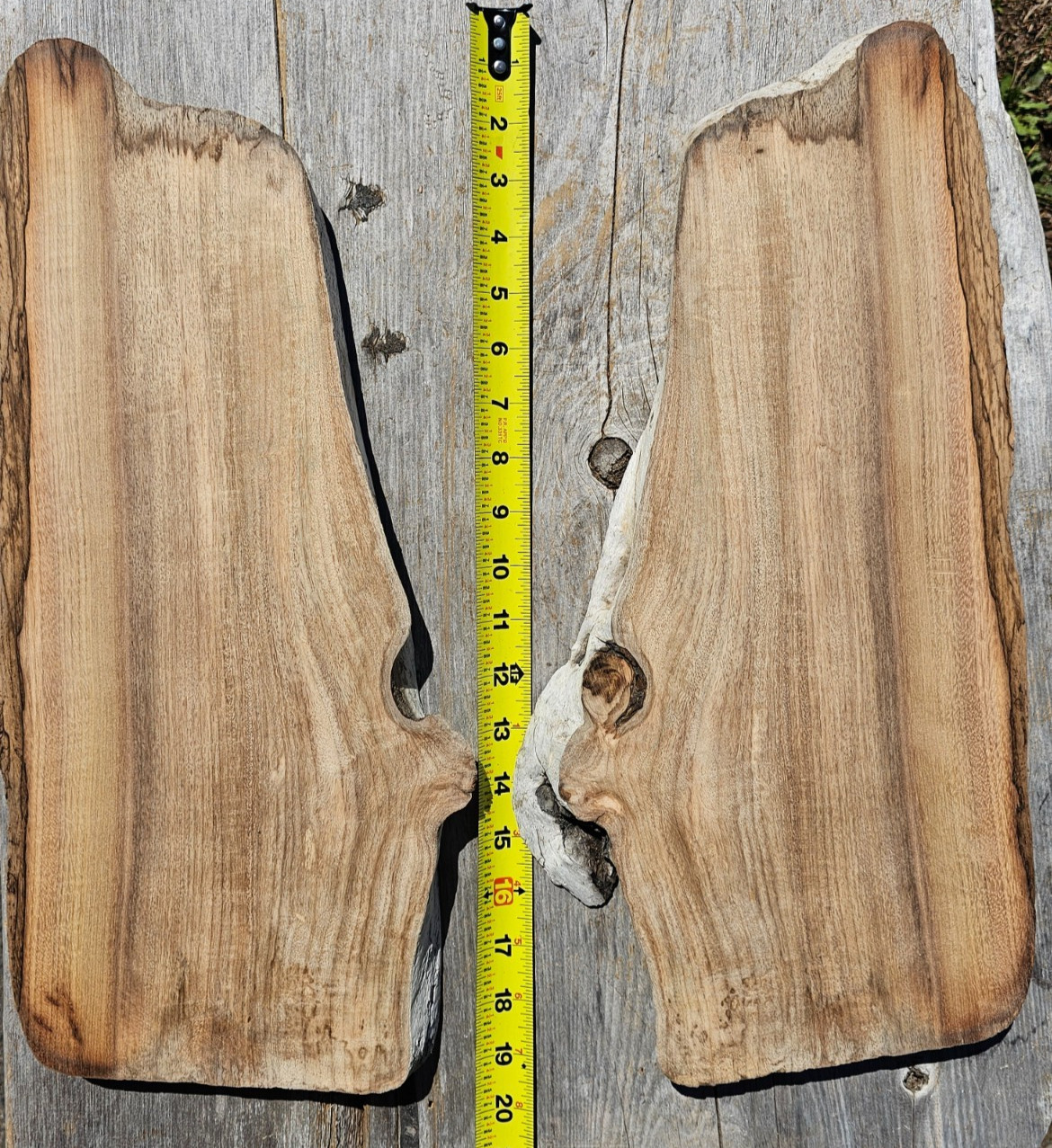 Live Edge River Slavaged Myrtlewood Set Of TWO Slabs