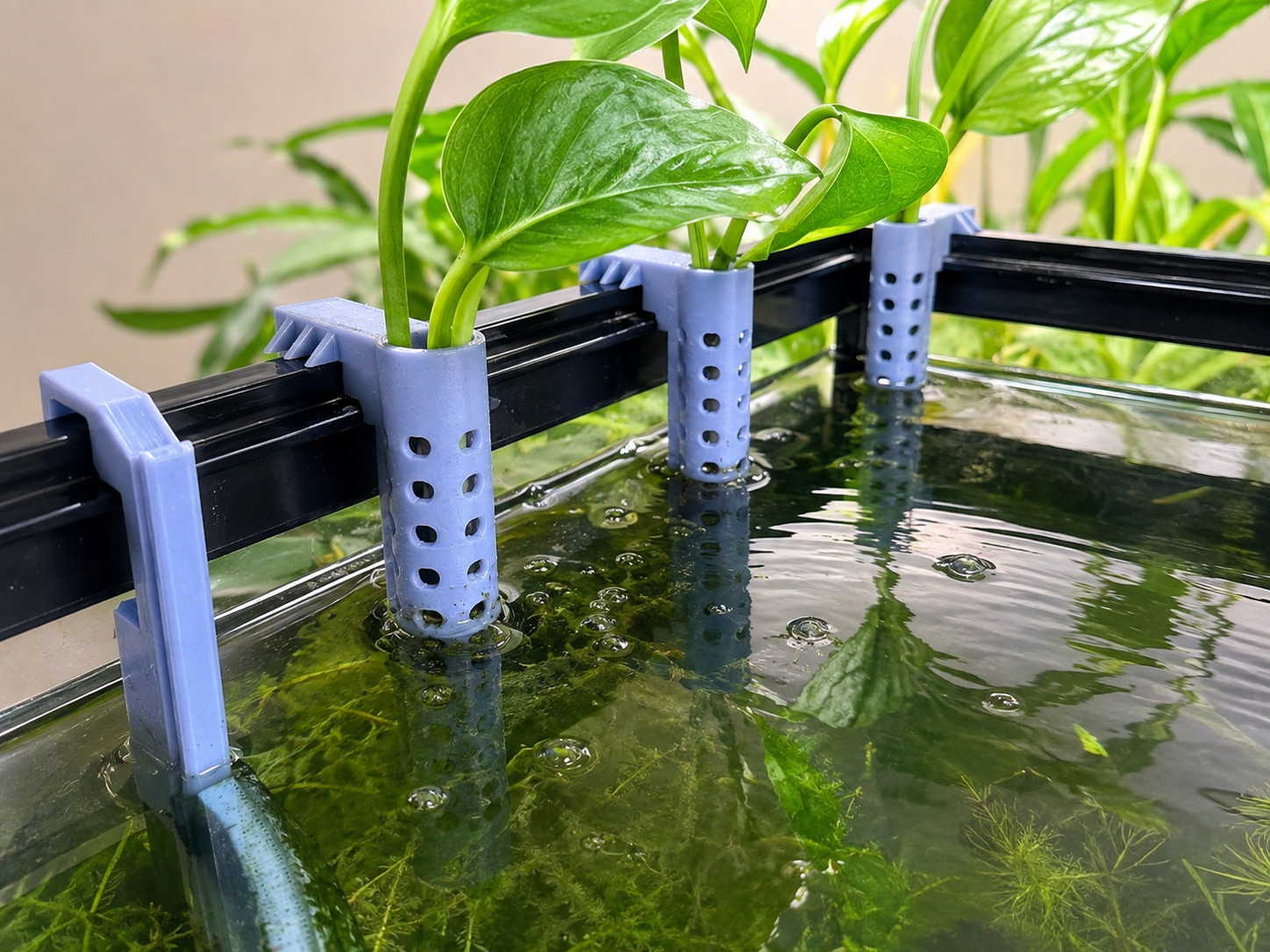 Aquarium Plant Holder Clip-On 3-PACK Pothos Propagation Root Basket Fish Tank