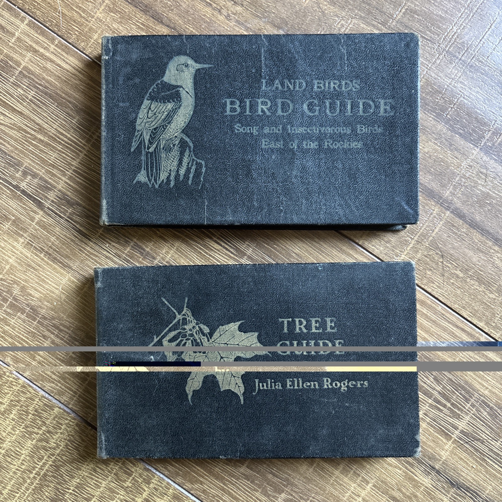 Lot 2 Antique field Guides Books