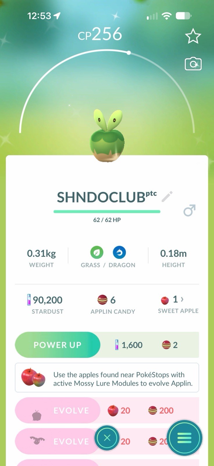 GO Pokémon - Shiny Applin PTC ✨ GO Pokémon - Shiny Applin PTC ✨
