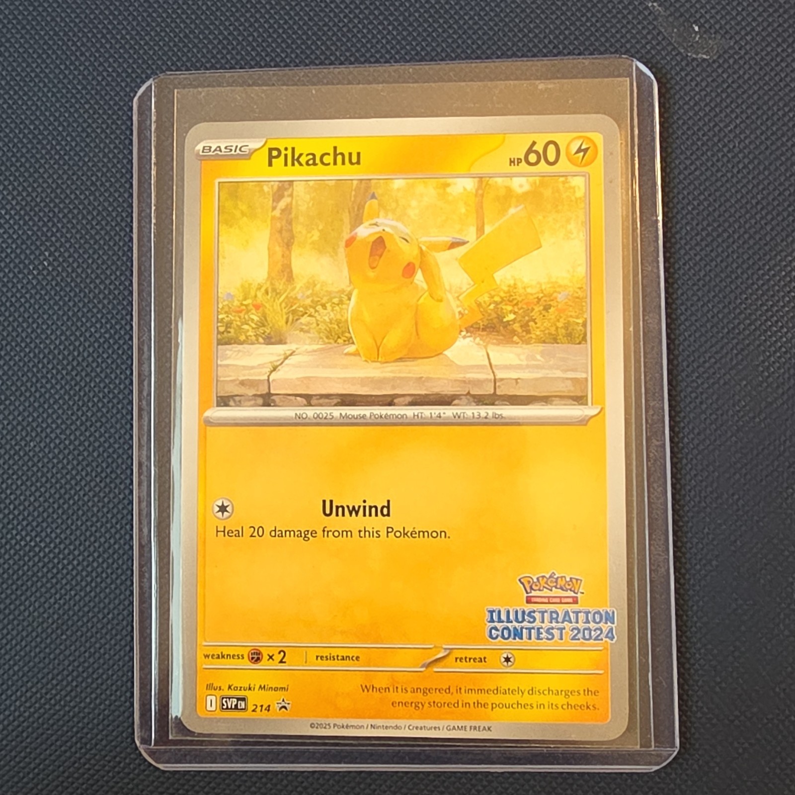Pikachu 214 Illustration Contest 2024 Promo Holo 60 HP English Kazuki Minami