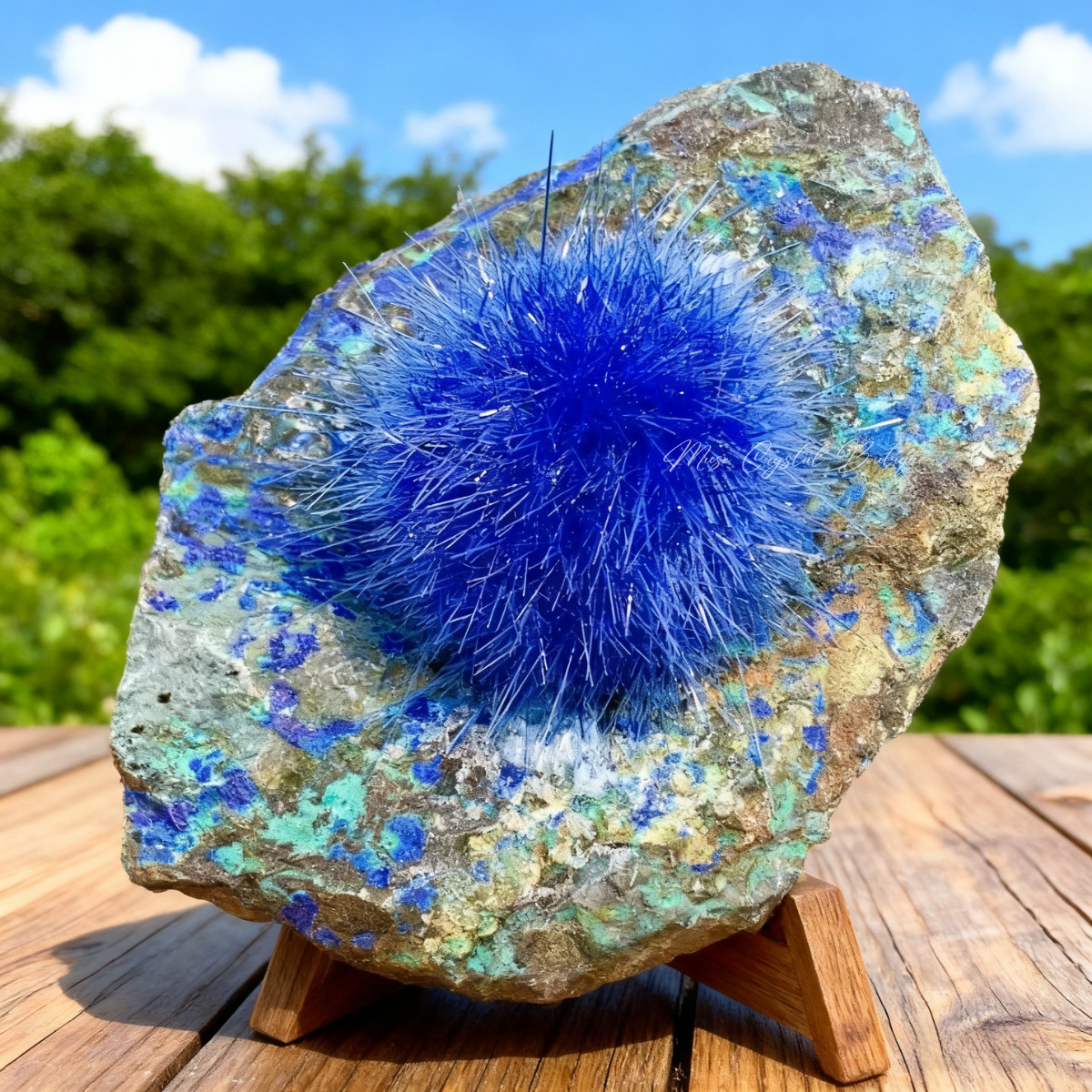 Rare Blue Dandelion Zeolite Cluster Titanium Quartz Crystal Specimen Unique Gift