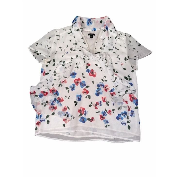 Ann Taylor Chiffon blouse Ann Taylor Chiffon blouse