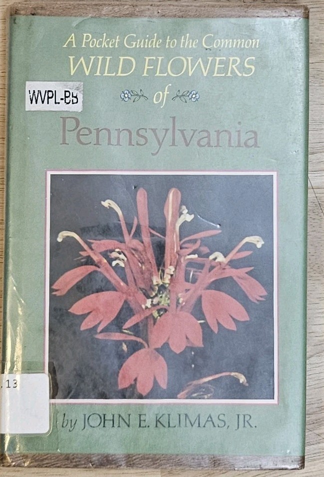 Vintage 1975 Wild Flowers of Pennsylvania Pocket Guide John Klimas Audubon Book Vintage 1975 Wild Flowers of Pennsylvania Pocket Guide John Klimas Audubon Book
