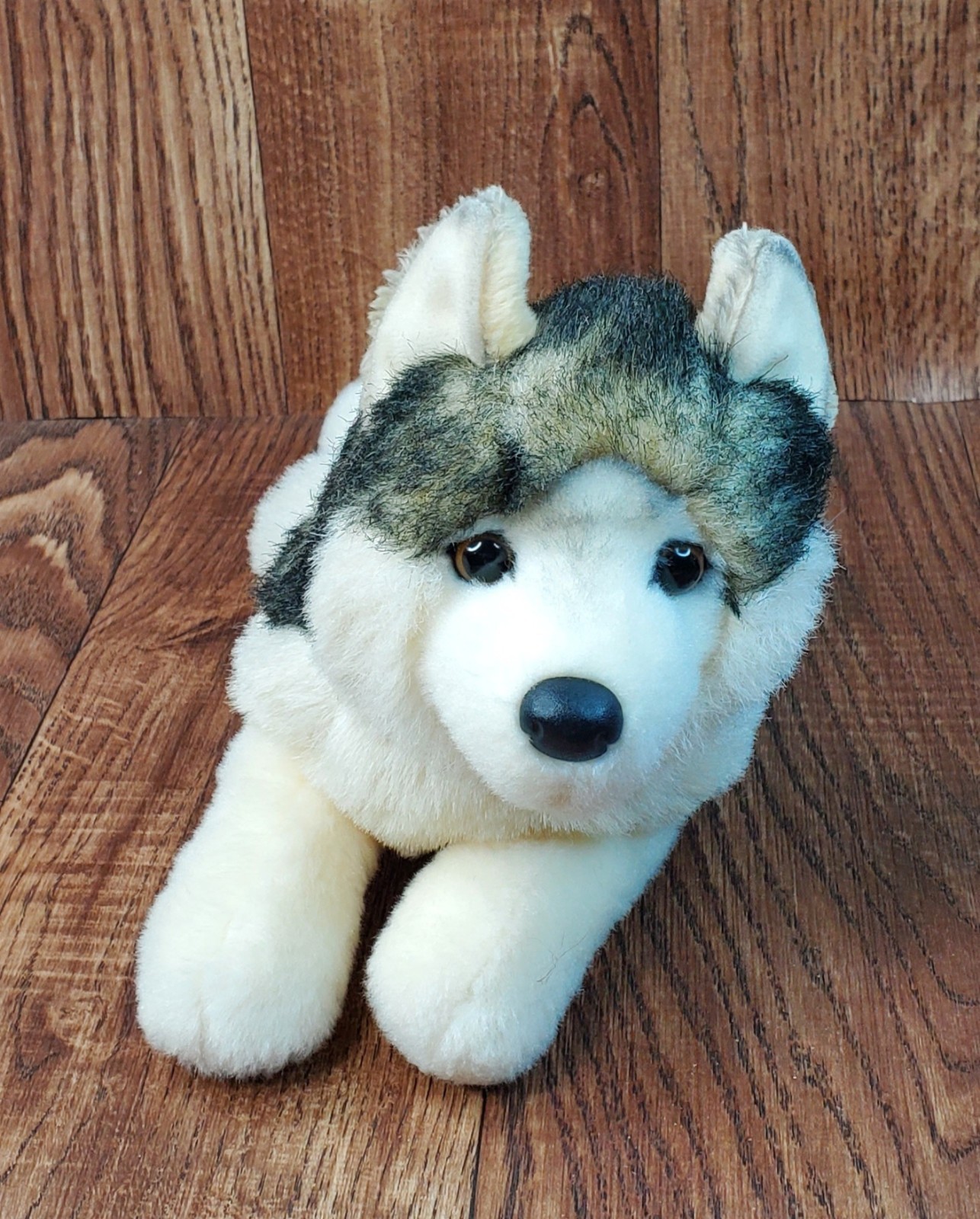 Phoenix the Wolf Pup Douglas Cuddle Toys 14\ Phoenix the Wolf Pup Douglas Cuddle Toys 14\