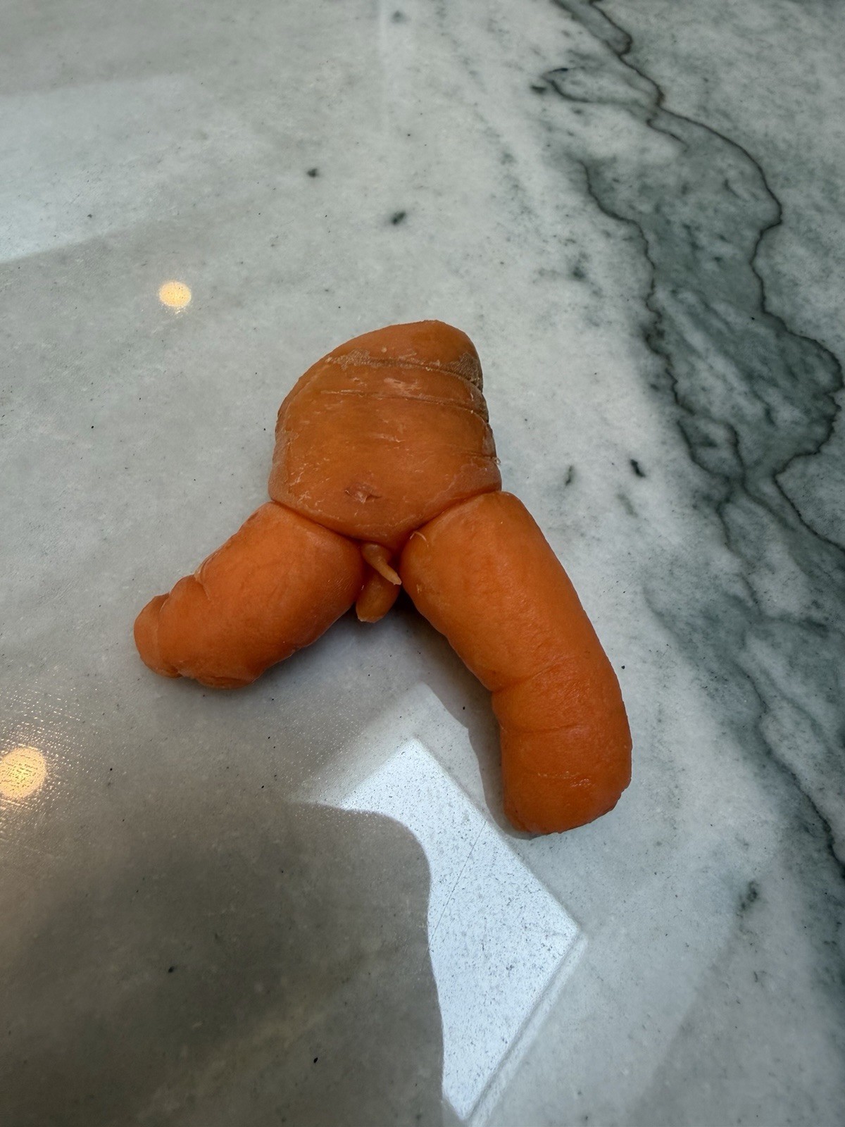 Unusual Shaped Baby Carrot. Unique food. Weird shaped food. Unusual Shaped Baby Carrot. Unique food. Weird shaped food.
