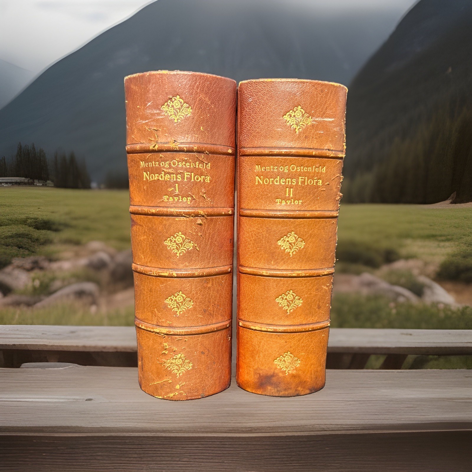 Billeder Af Nordens Flora Volumes 1 -2 Field Books Botanists First Editions 1907 Billeder Af Nordens Flora Volumes 1 -2 Field Books Botanists First Editions 1907