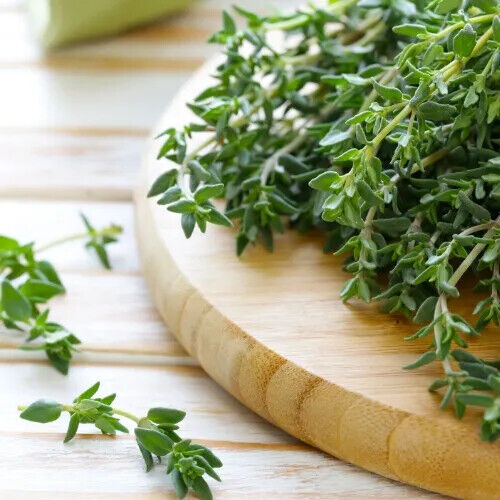 Thyme Seeds | Heirloom / Non-GMO | | Herb Seeds | Seed Store 1160 Thyme Seeds | Heirloom / Non-GMO | | Herb Seeds | Seed Store 1160