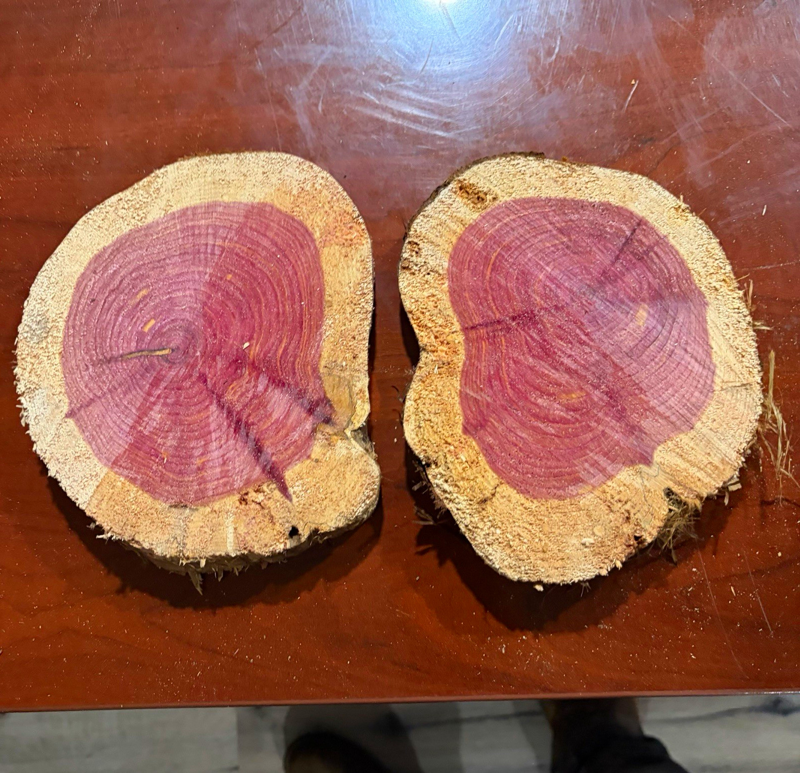Unique Unfinished  Cedar  Round 6” to 8” inches diameter, 1”  thick, Set of 2