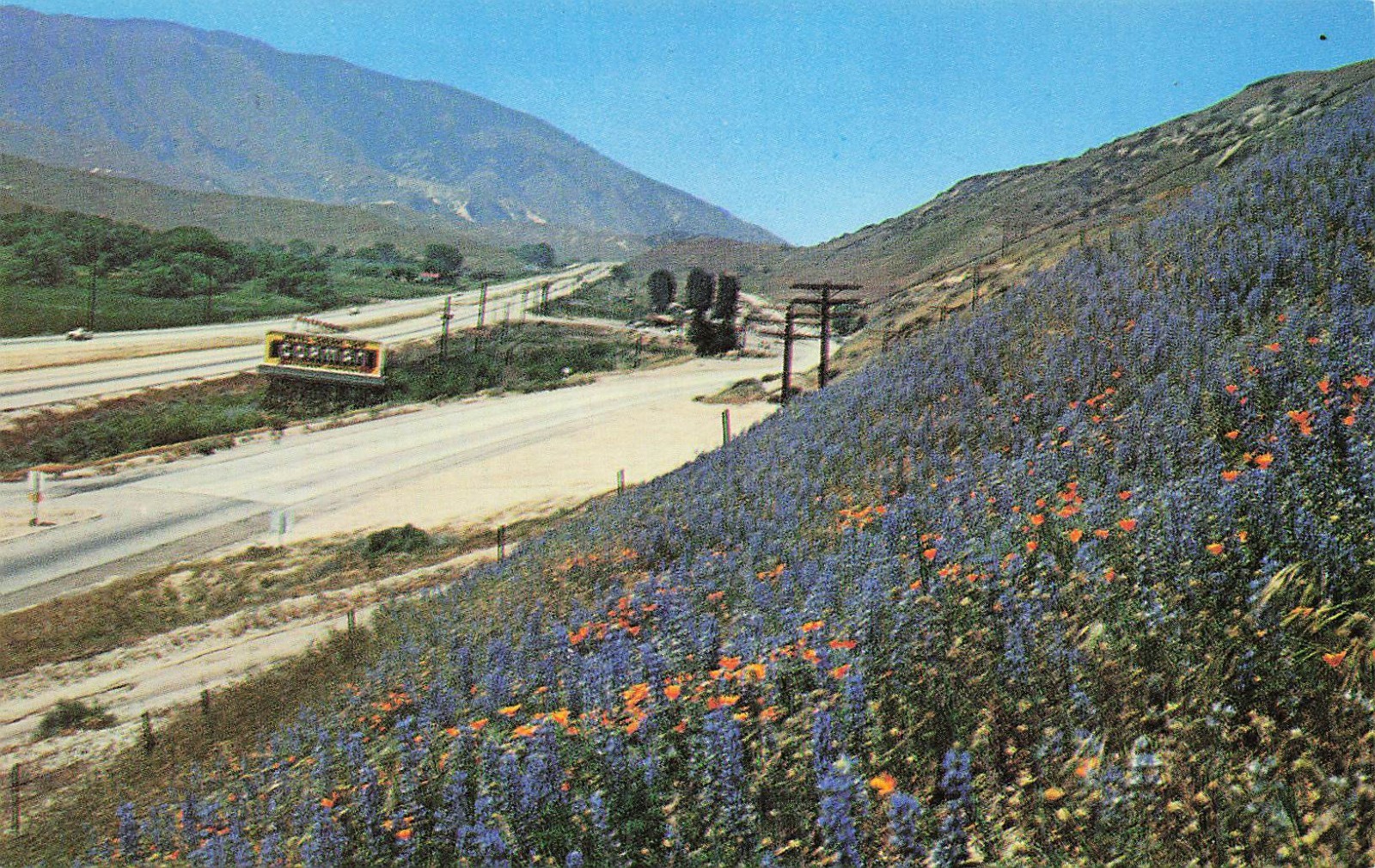 Gorman California San Andreas Fault Zone Grapevine Ridge Route Vtg Postcard I59