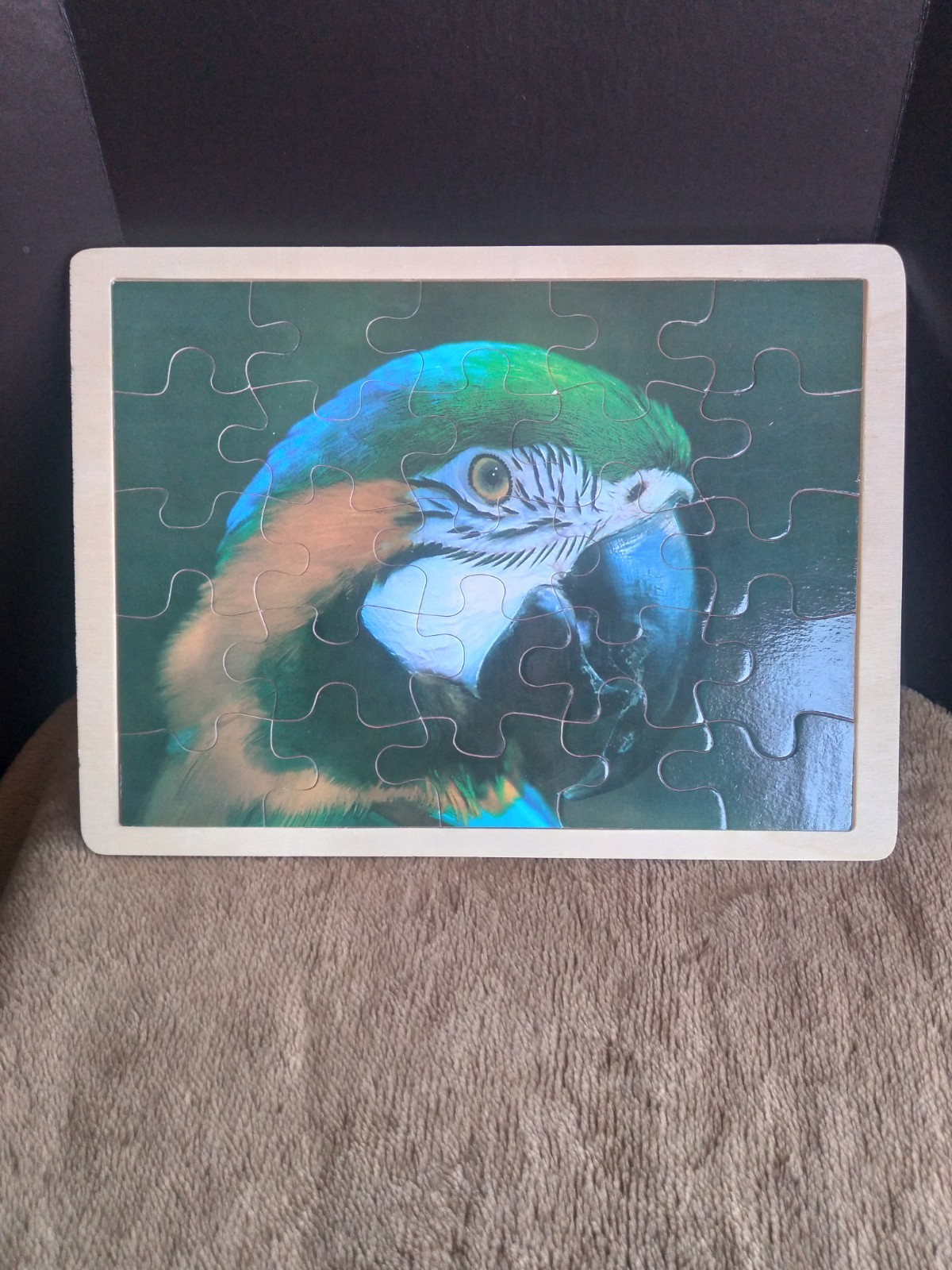 Vintage Wooden Jigsaw Puzzle 25pc Set. Macaw Parrot Bird