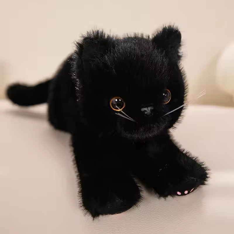 Black Kitten Cat 14\