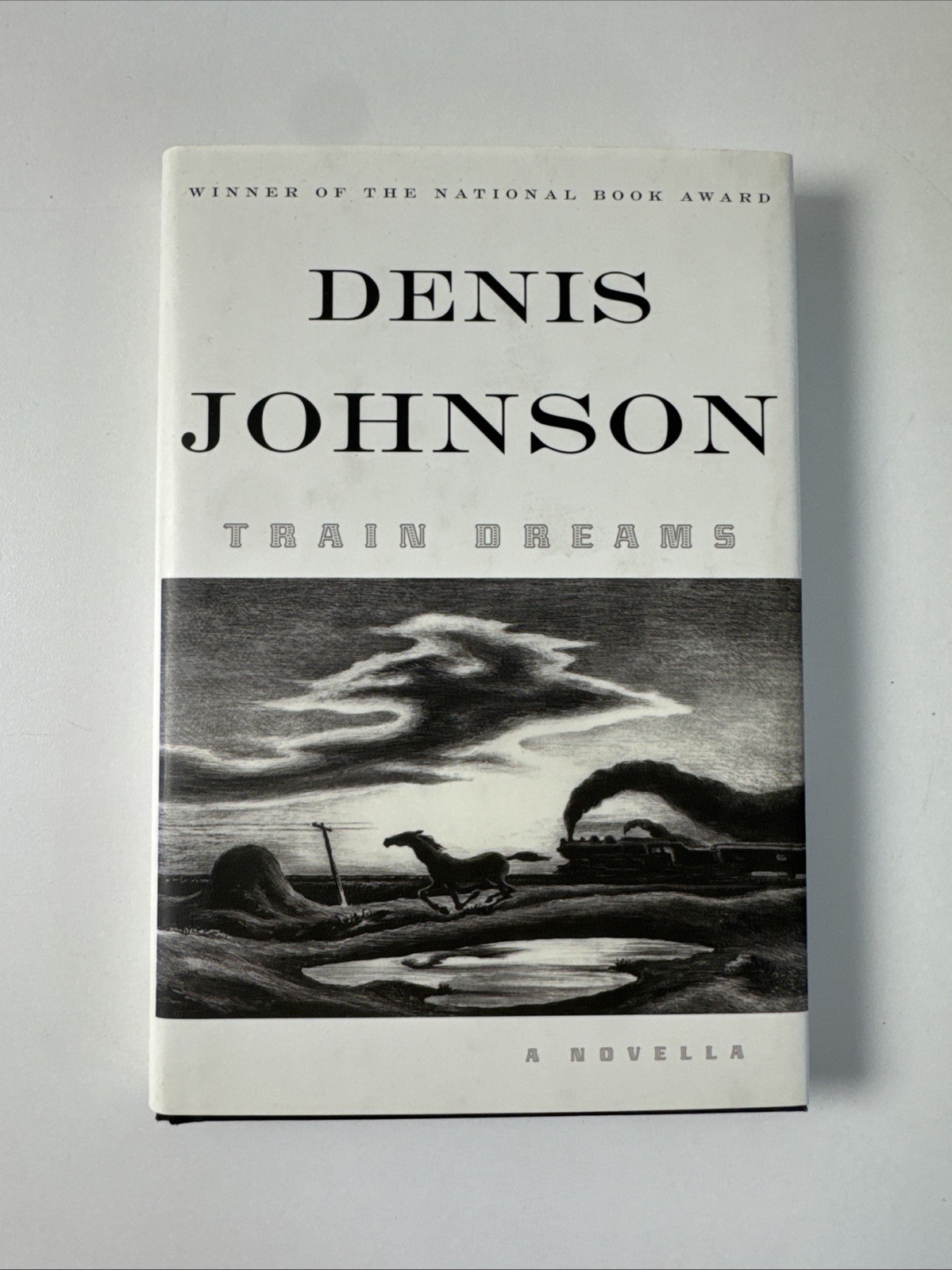 2002 TRAIN DREAMS DENIS JOHNSON 1ST EDITION HARDCOVER FSG RARE HC DJ