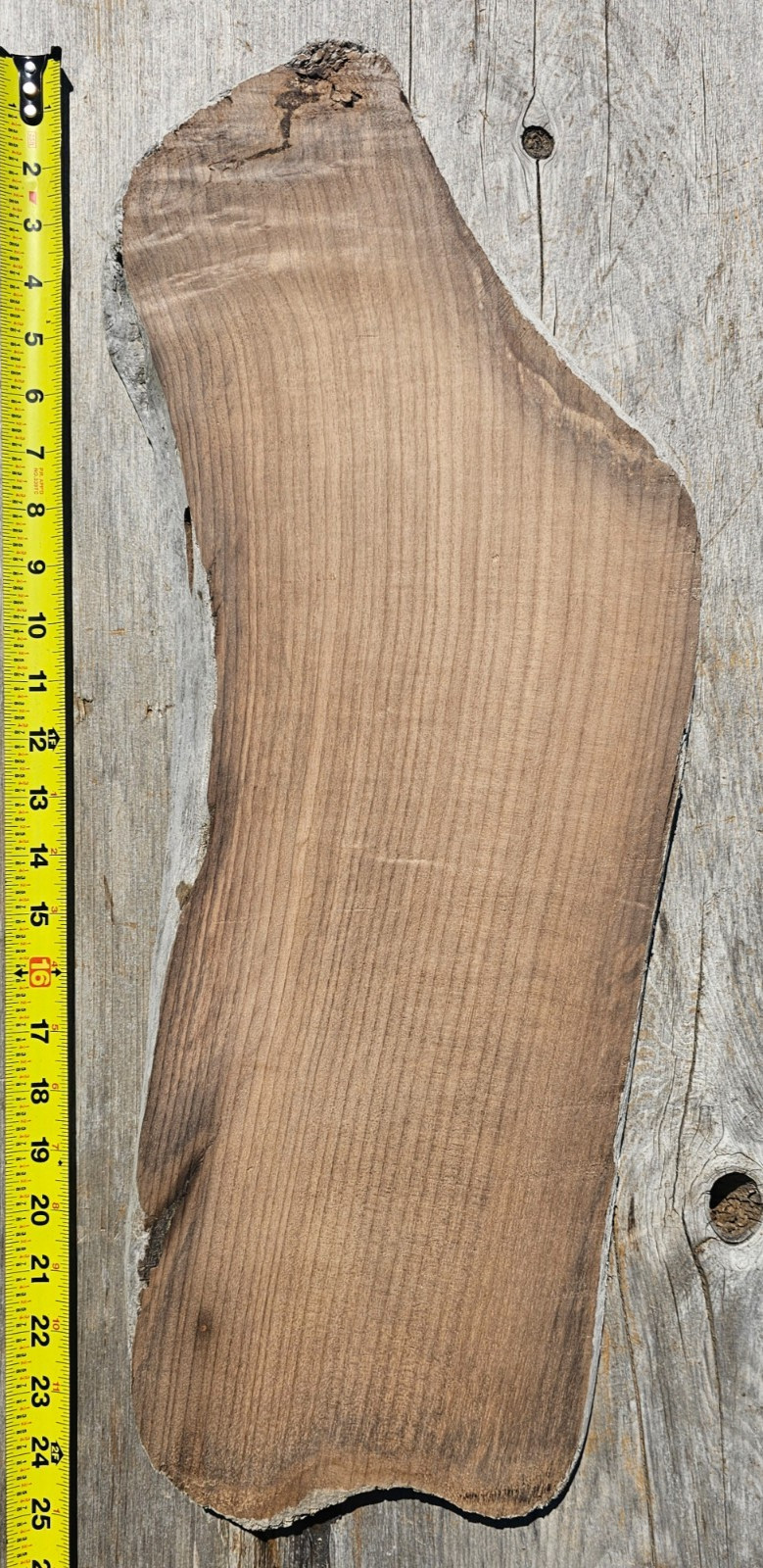 River Salvaged Live Edge Myrtlewood Slab Board 