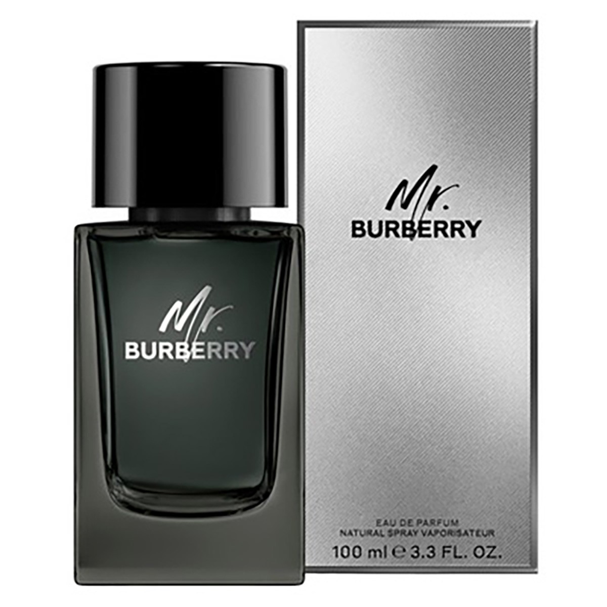 Burberry Men\'s Mr. Burberry EDP Spray 3.4 oz Fragrances 3616301838210