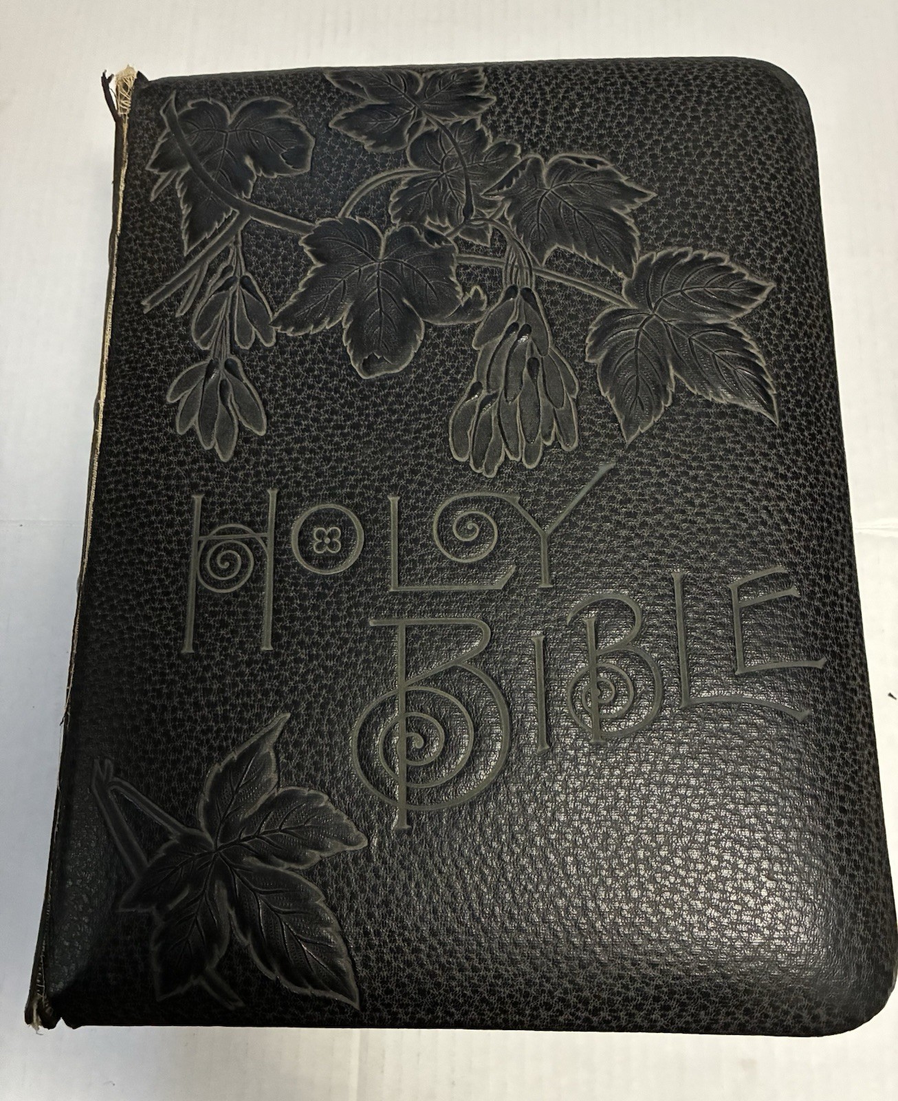 Antique 1891 Pictorial Family Bible Embossed Leather Gilded Pages Holman Edition