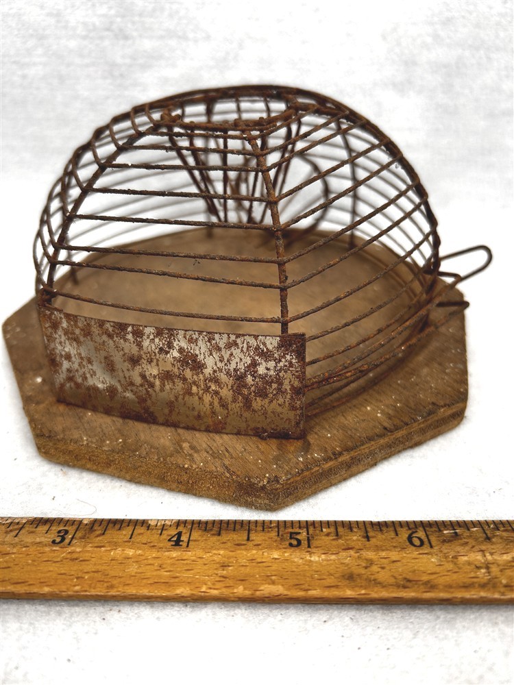 antique trap small animal mouse round dome wire and wood, unusual mid 19thc 