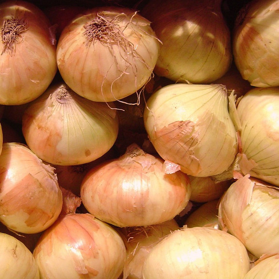Walla Walla Sweet Onion Seeds | Heirloom / Non-GMO |  | 1067