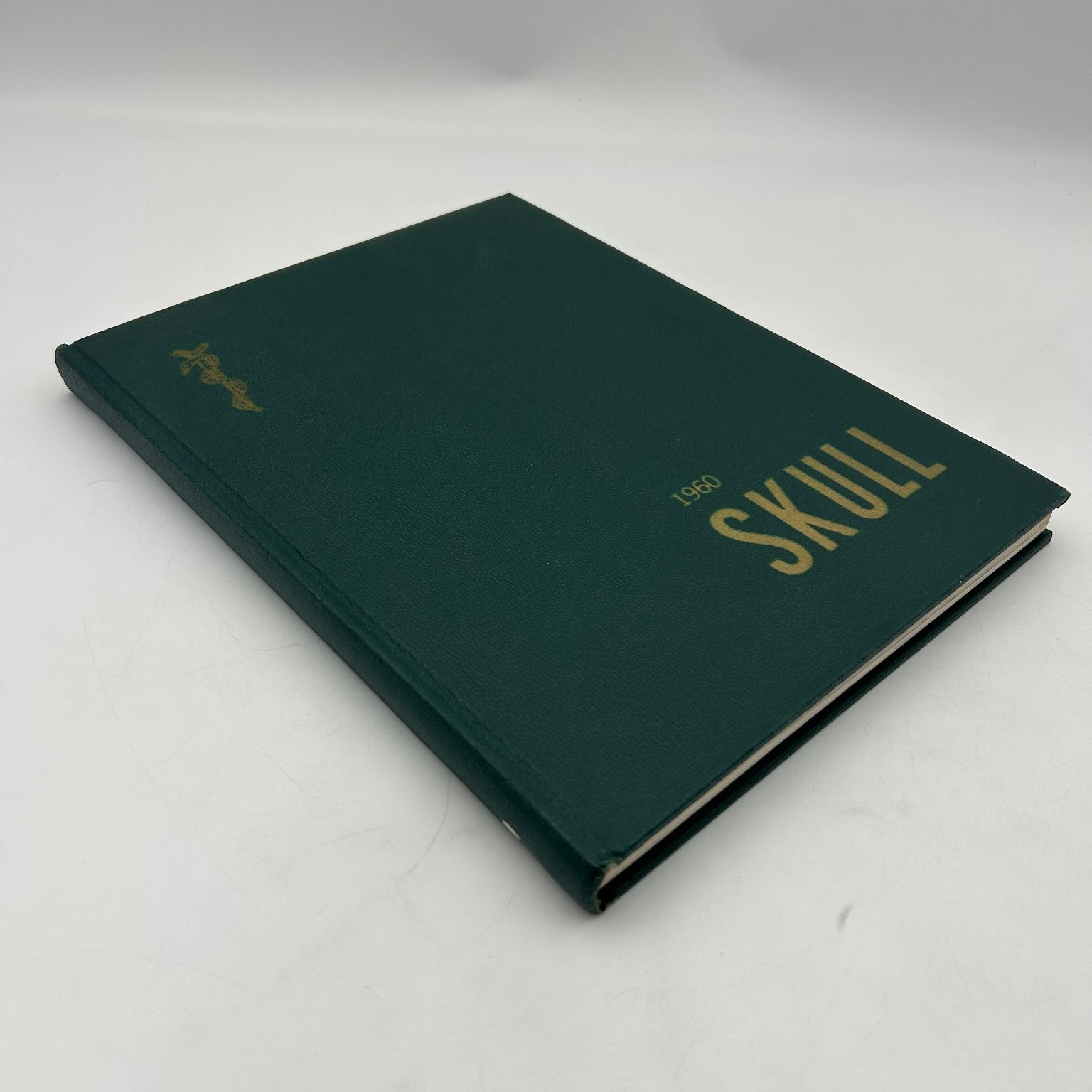 Skull Yearbook Albany Medical Center 1960 50th Anniversary Medical School
