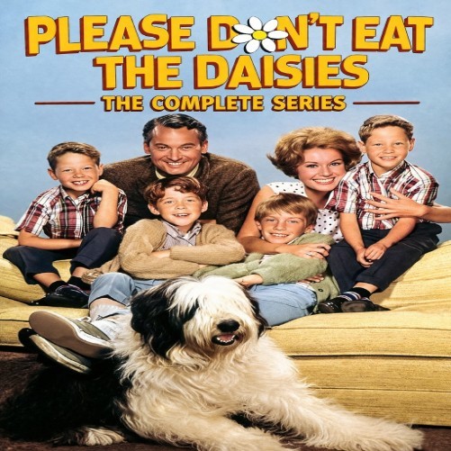 Please Don't Eat The Daisies The Complete Series Disc Only - Buy 2, Get 1 Free