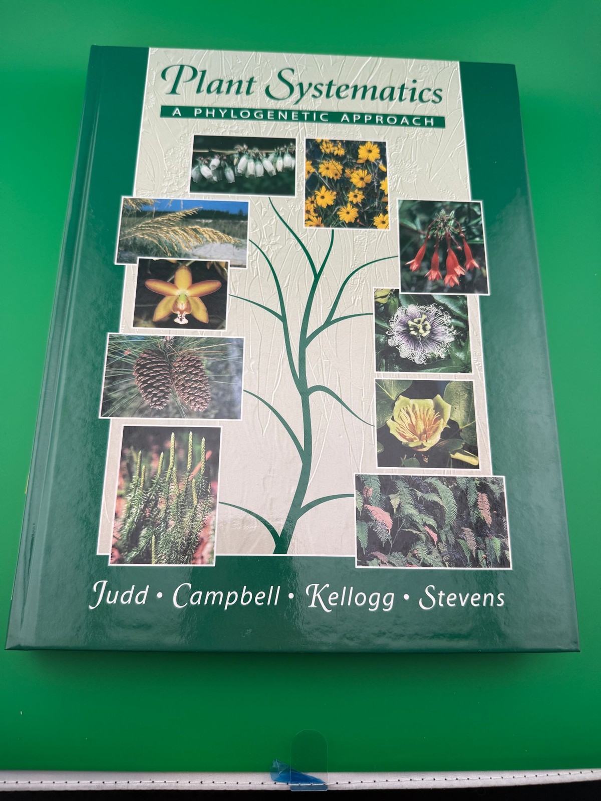 Plant Systematics A Phylogenetic Approach Hardcover Judd Campbell Kellogg CD-ROM Plant Systematics A Phylogenetic Approach Hardcover Judd Campbell Kellogg CD-ROM