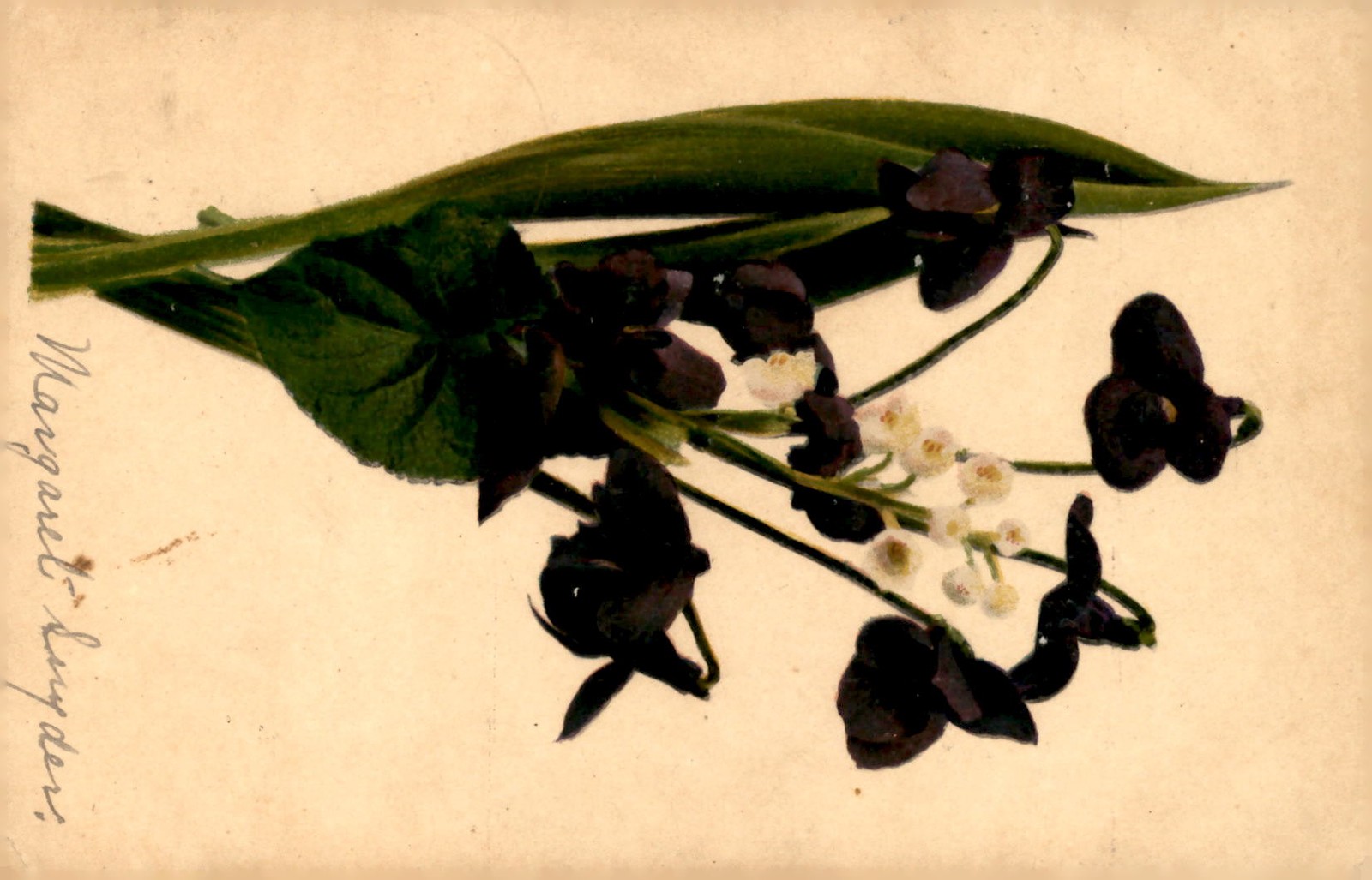 Margaret Snyder, Clara Sutherland, Goshen, 1906 Postcard