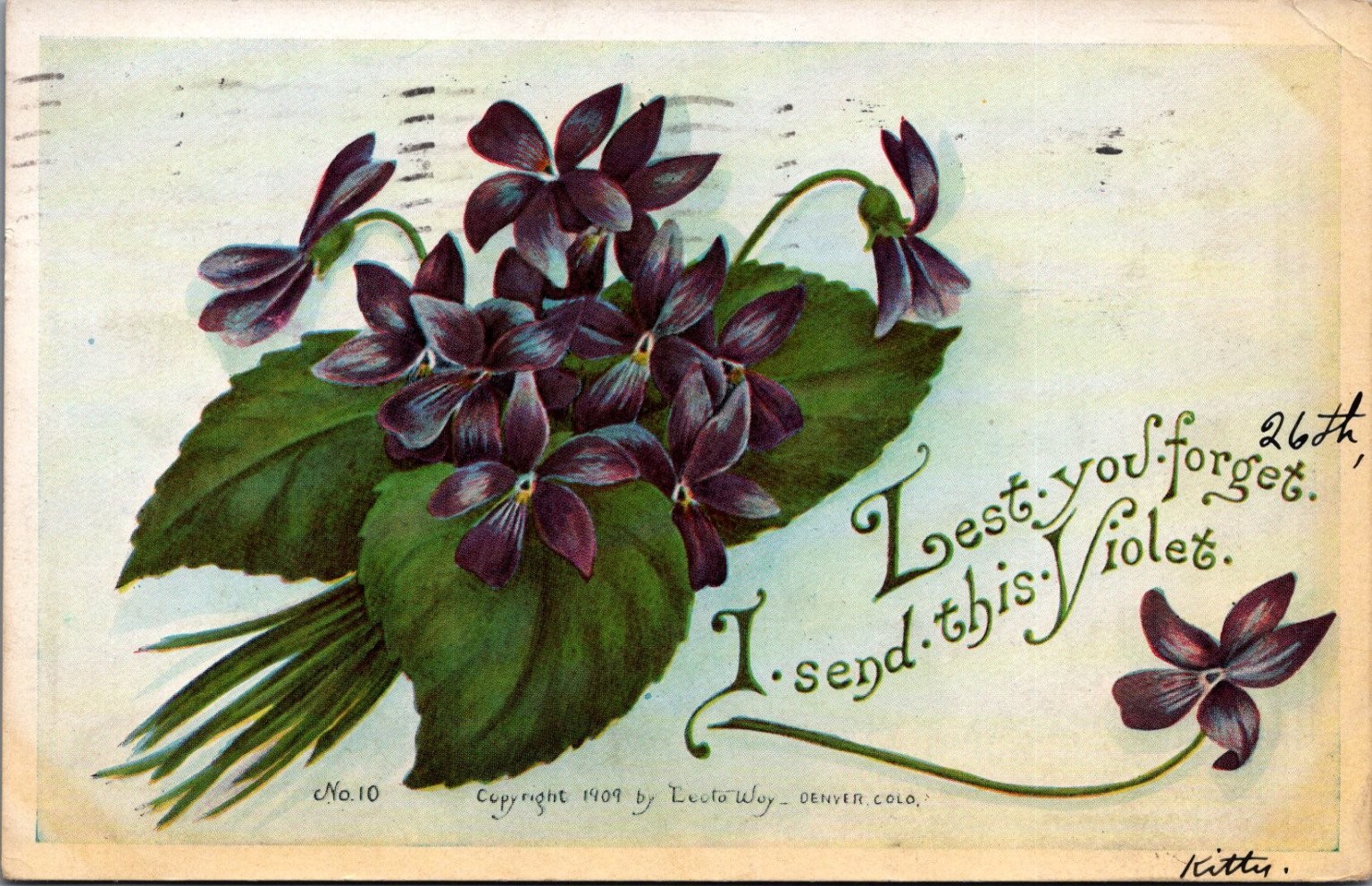 1909 Violets Postcard \