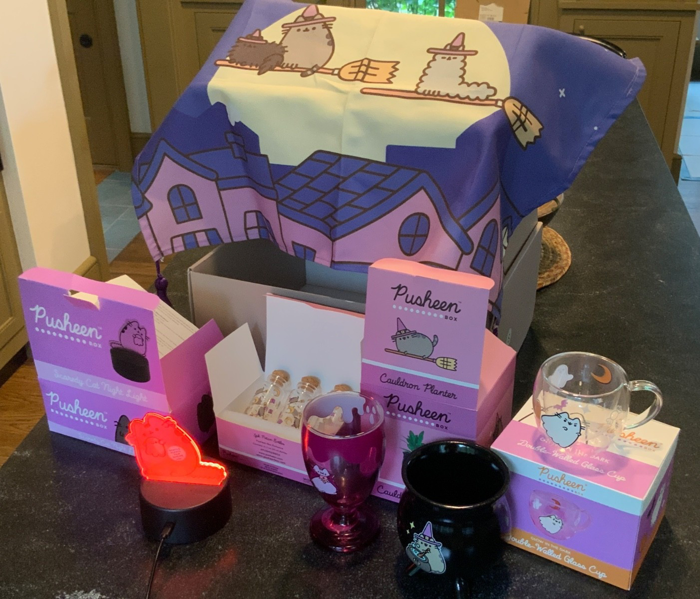 New Pusheen Exclusive Halloween Boxes Multiple Sets Incomplete 2022-2024