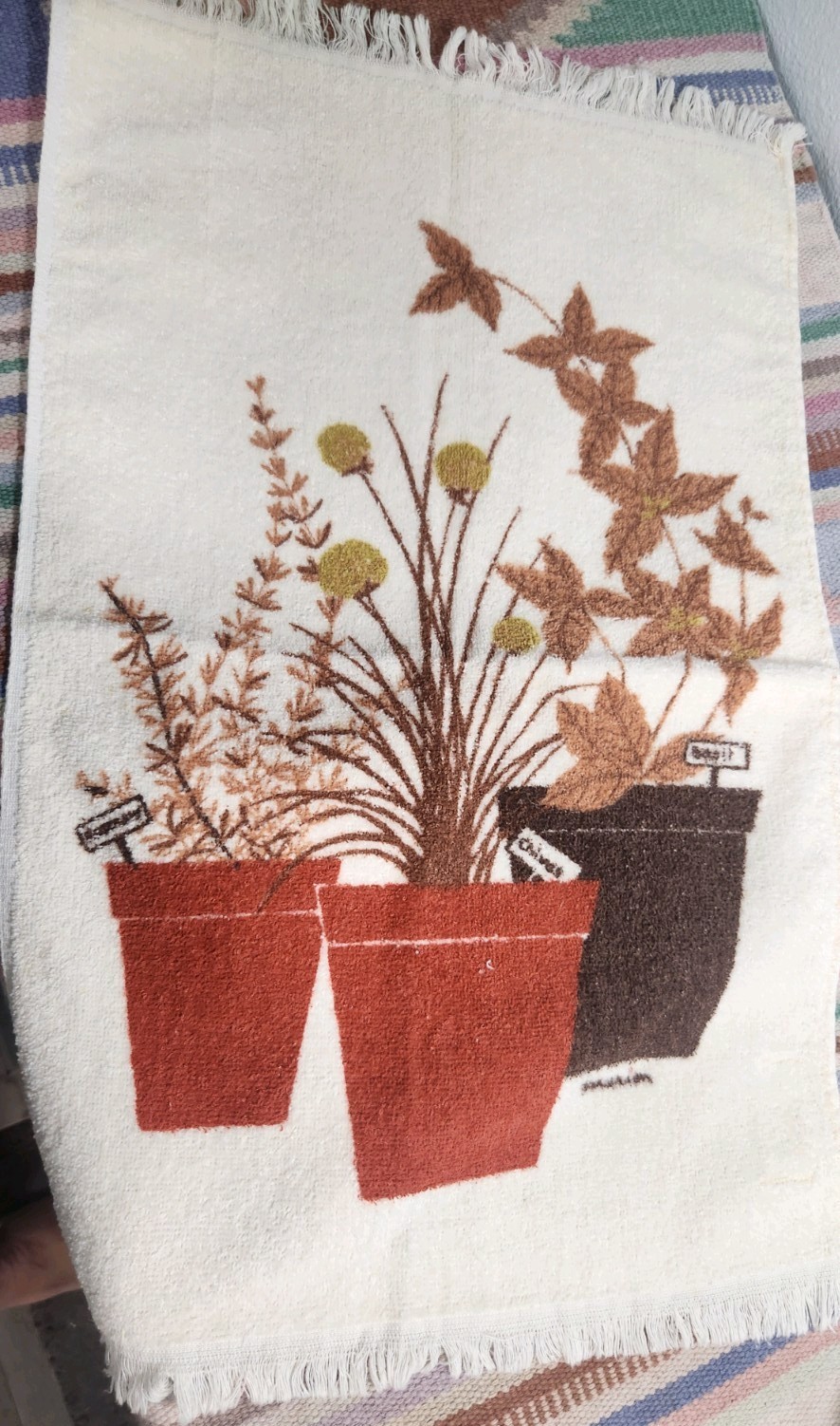 Vintge 70s Botanical Design 2pc Hand Towel Set Tan, Brown, Rust NEW Dundee USA