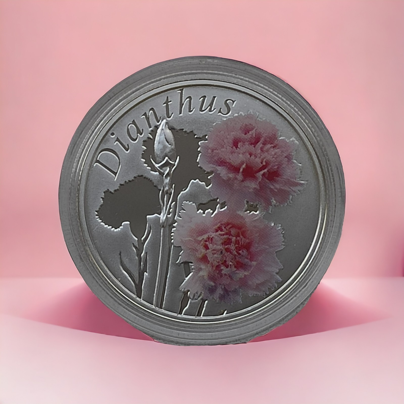 Belarus 2013, THE CARNATION (DIANTHUS). Beauty of Flowers, Silver, Coloured