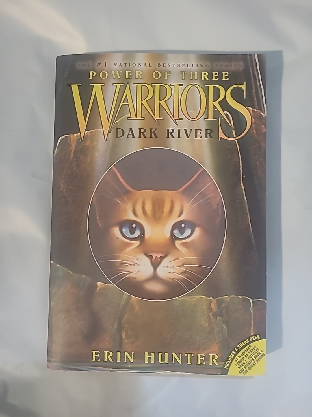 Dark River by Erin Hunter (2008, Trade Paperback) Dark River by Erin Hunter (2008, Trade Paperback)