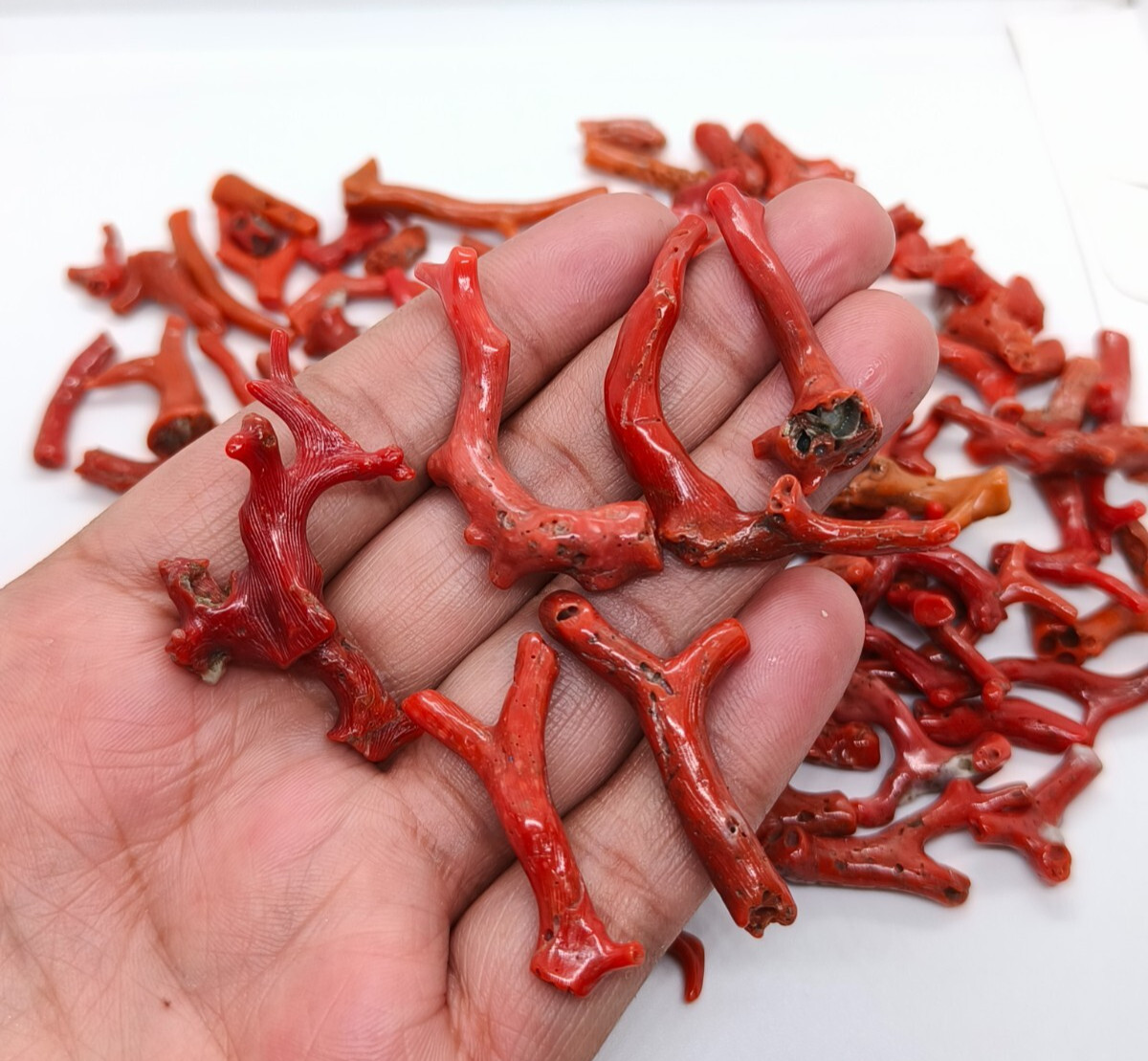100 Crt Lot Mediterranean Sea Red Coral Rough Branch-Natural Red Coral Branch