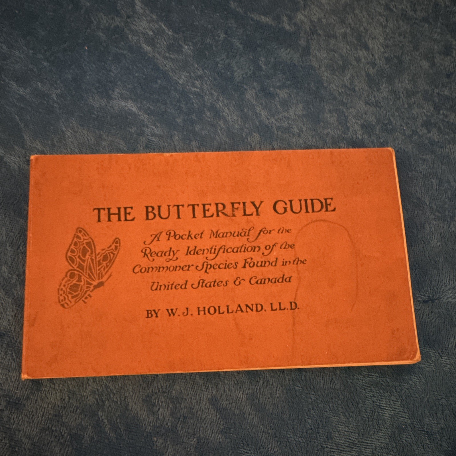 Antique 1916 The Butterfly Guide W.J. Holland Doubleday Pocket Nature Library