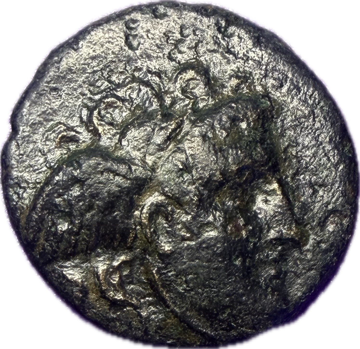 Seleukos I Nikator Ancient Greek Coin Medusa Bull 312-281 BC Sardes AE15