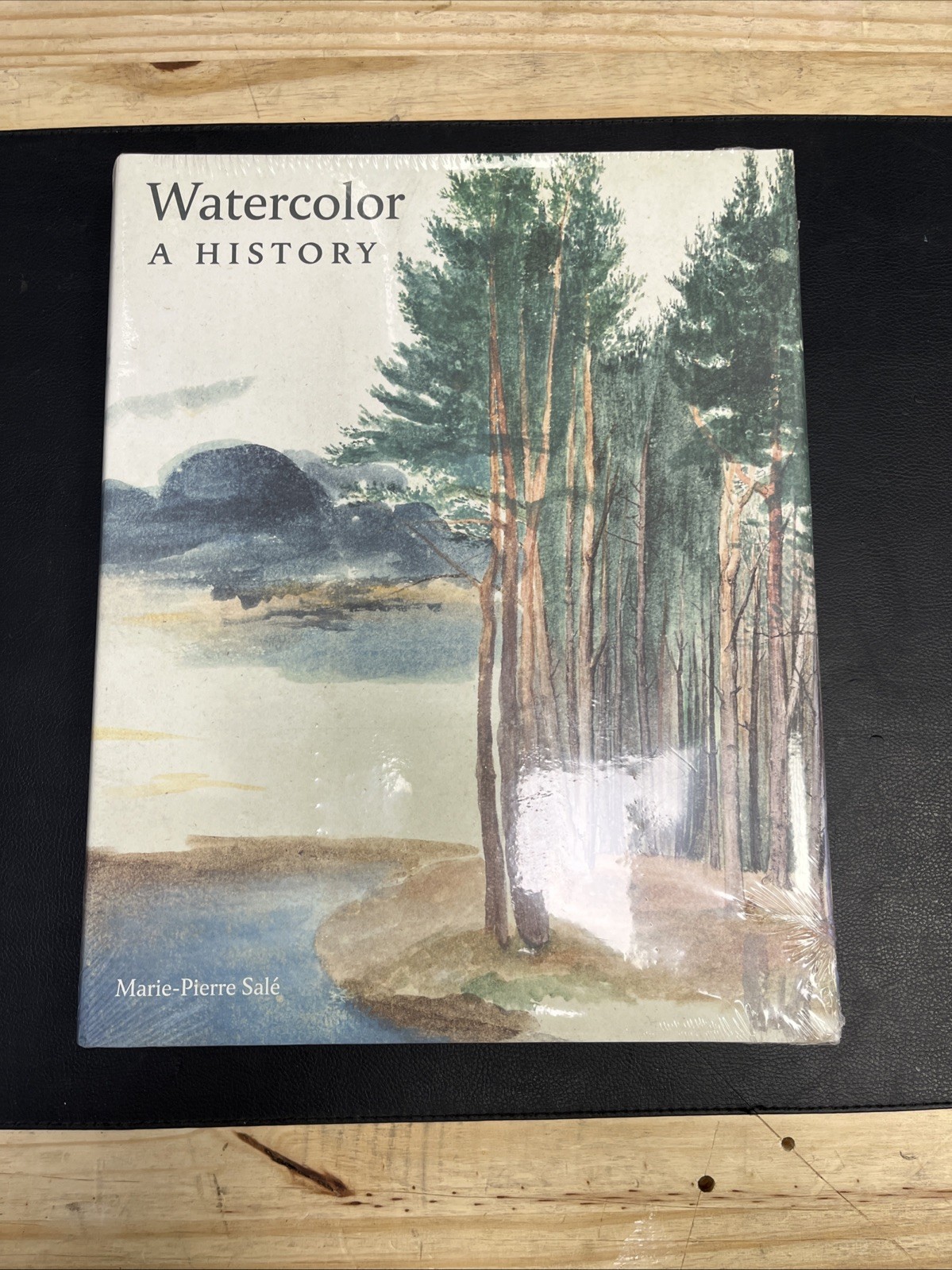 Watercolor: A History by ,Marie-Pierre Sale (English) Hardcover Book Watercolor: A History by ,Marie-Pierre Sale (English) Hardcover Book