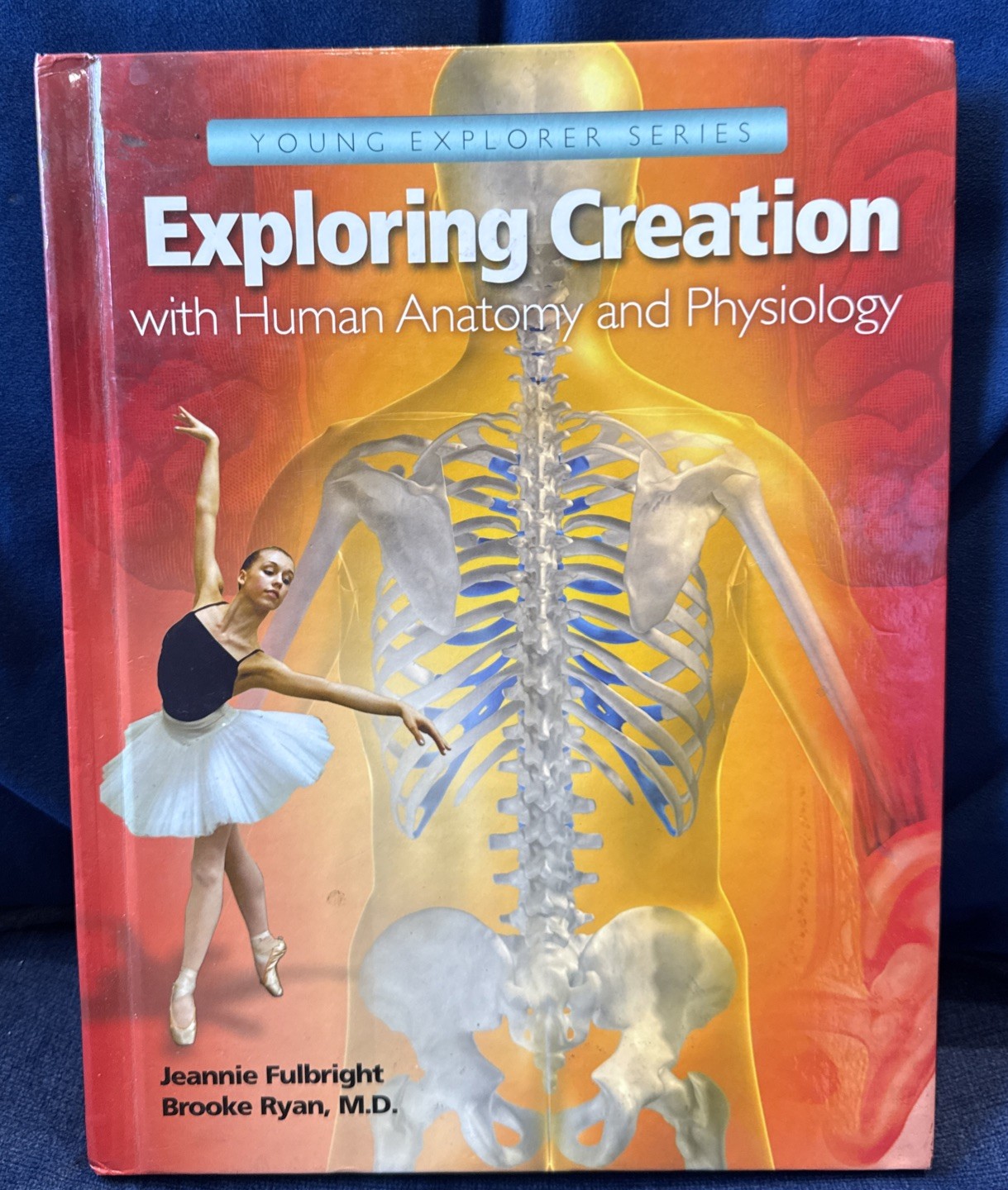 Exploring Creation with Human Anatomy and Physiology Young Explorer Series Exploring Creation with Human Anatomy and Physiology Young Explorer Series