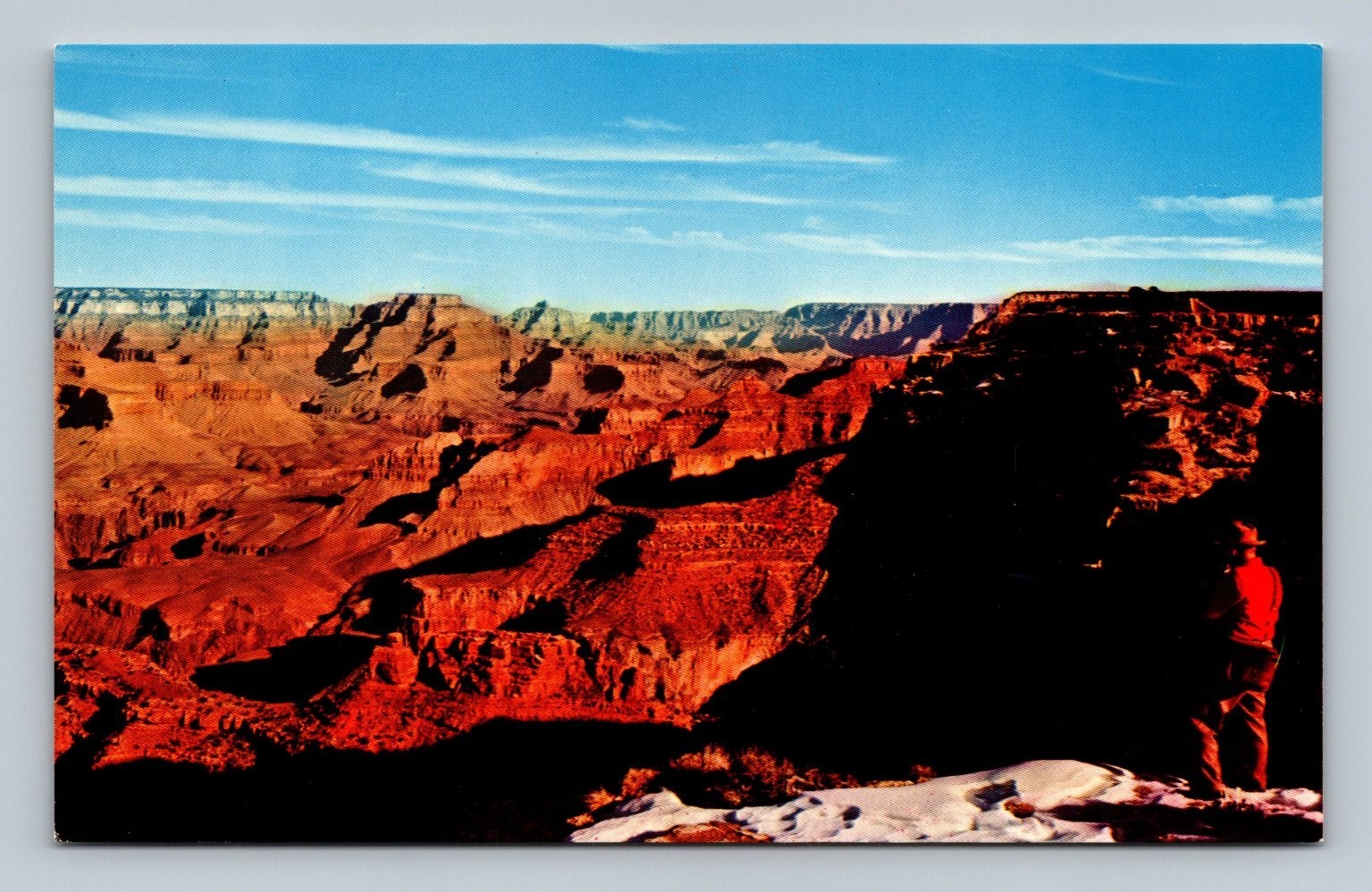Grand Canyon NP Arizona Vintage Postcard Mike Roberts Fred Harvey C833A