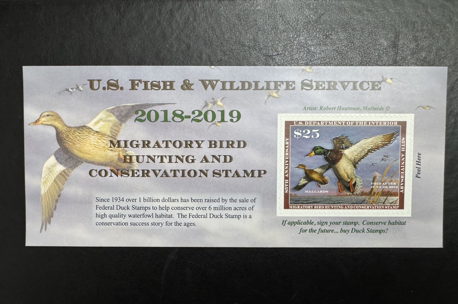 RW85A 2018-2019 Federal Migratory Bird Hunting Stamp. MNHOG. Well Centered. RW85A 2018-2019 Federal Migratory Bird Hunting Stamp. MNHOG. Well Centered.