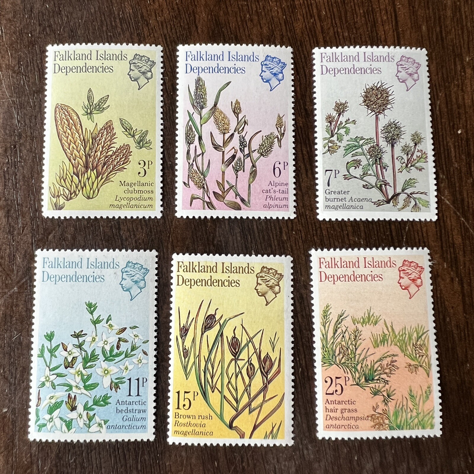 1981 FALKLAND ISLANDS DEPENDENCIES MINT STAMPS SET #1L53-1L58 QUEEN ELIZABETH II 1981 FALKLAND ISLANDS DEPENDENCIES MINT STAMPS SET #1L53-1L58 QUEEN ELIZABETH II