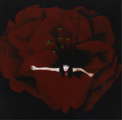 The Smashing Pumpkins Adore (CD) Super Deluxe  Box Set with DVD