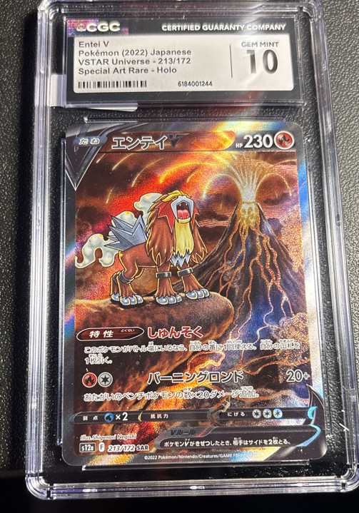 Entei V 213/172 S12a: Vstar Universe Holo (Japanese) Gem Mint 10