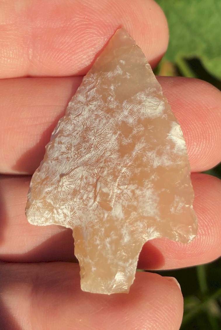 Extremely Beautiful, Almost Clear, Yellow Coral Newnan - 1 7/8\
