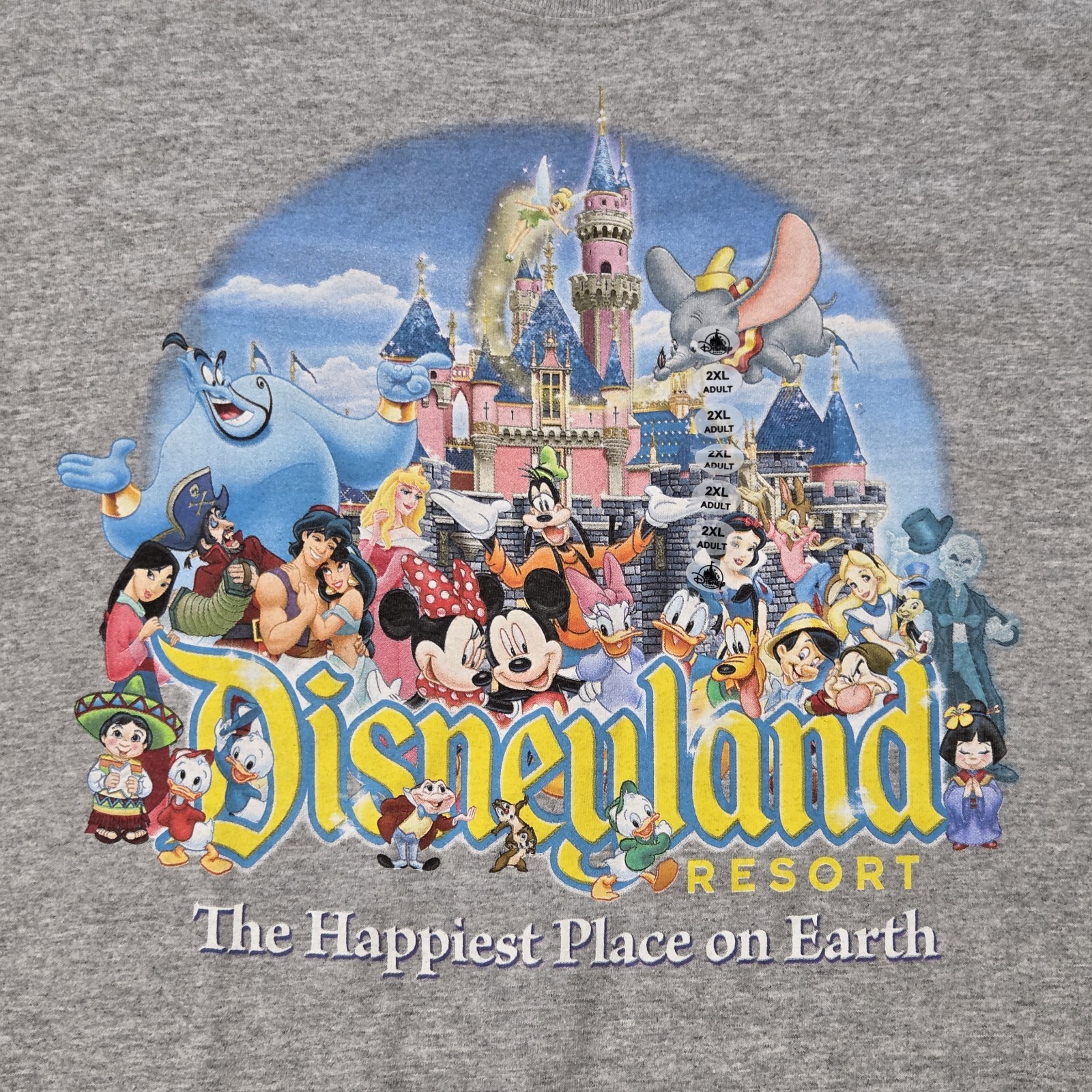 NWT Disneyland Resort T-Shirt Size 2XL Happiest Place On Earth Gray Graphic NWT Disneyland Resort T-Shirt Size 2XL Happiest Place On Earth Gray Graphic