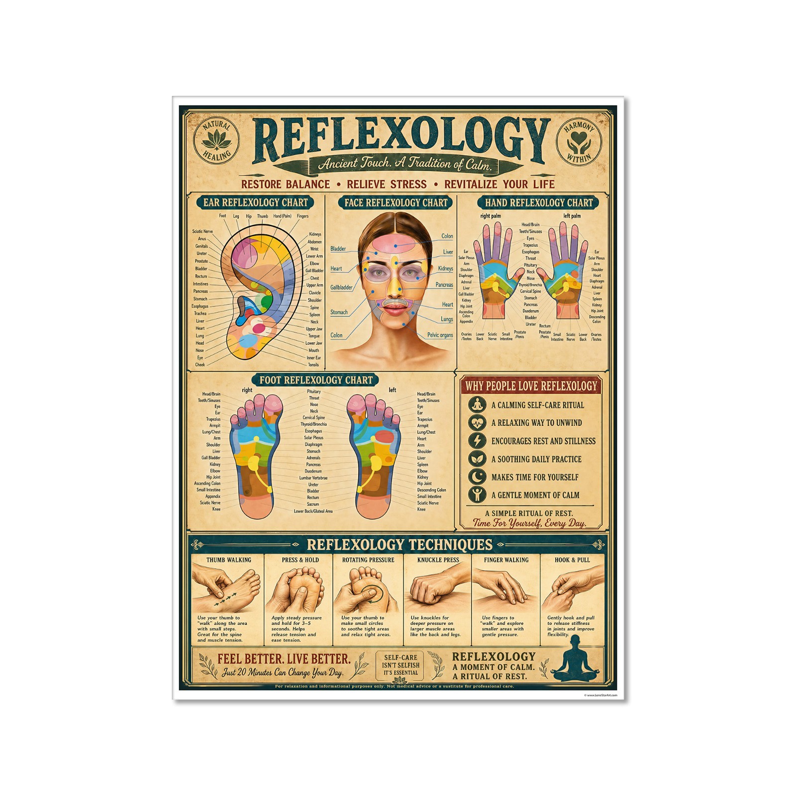 Reflexology 24x36 Hand Foot Ear Face Chart Holistic Wellness Poster Wall Art