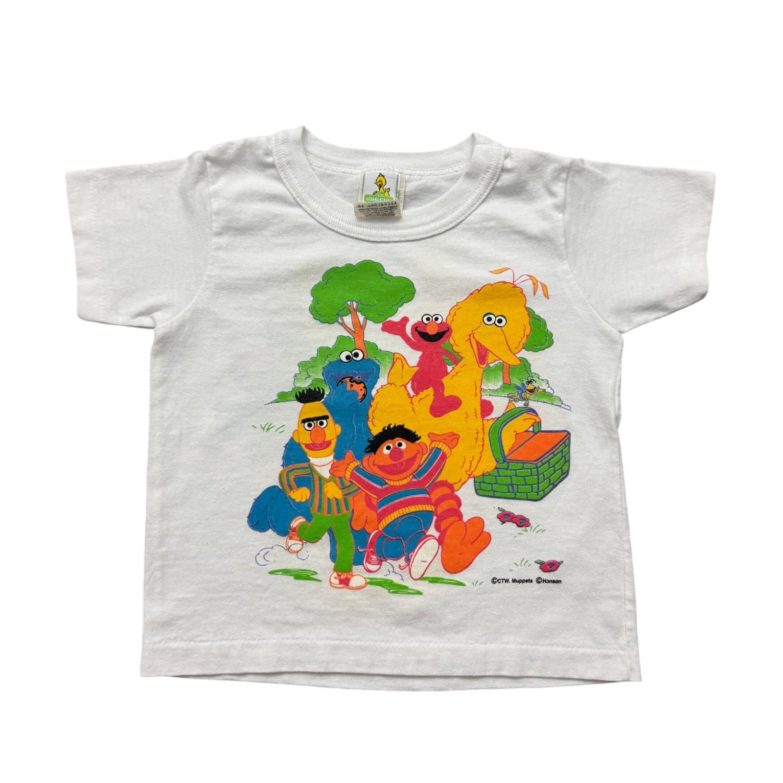 Vintage Sesame Street T-Shirt Tee Big Bird Elmo Picnic USA Kids 2T