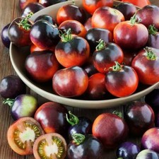 Seeds Tomato Indigo Rose Rare Vegatable NON-GMO Organic Heirloom Ukraine picture