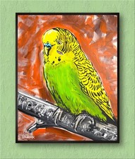 Original Budgerigar Parakeet Bird Acrylic Painting - 20x16