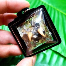 Amulet Thai Magic boas Talisman Wealth Pendant Fortune Lucky picture